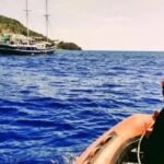 Tim SAR  Ungkap Identitas Kaki Berkostum Penyelam yang Ditemukan Dalam Perut Hiu, Ini Kronologi Hilangnya