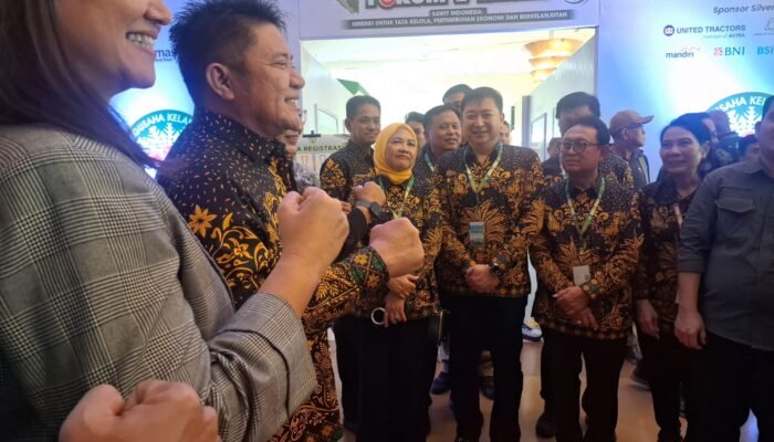 Replanting Jadi Titik Balik, Produktivitas Sawit Sumsel Diproyeksi Melonjak Signifikan