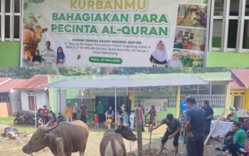Semangat Berbagi Menguat, Yayasan Kauny Insanul Quran Palembang Salurkan 221 Paket Daging Kurban