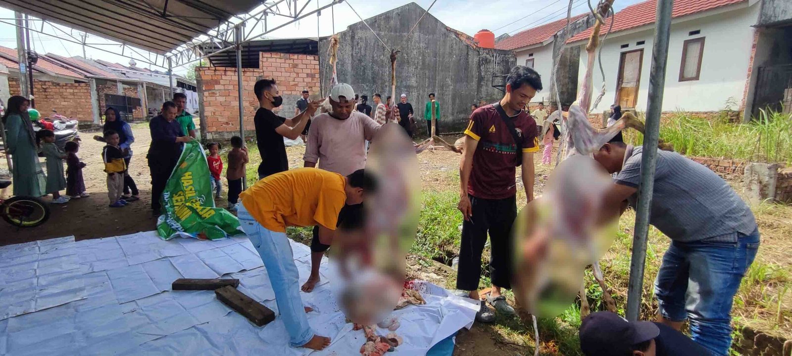 Yayasan Kauny Insanul Quran Palembang Salurkan 221 Paket Daging Kurban
